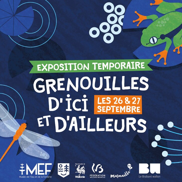 Expositions Grenouilles d ici d ailleurs