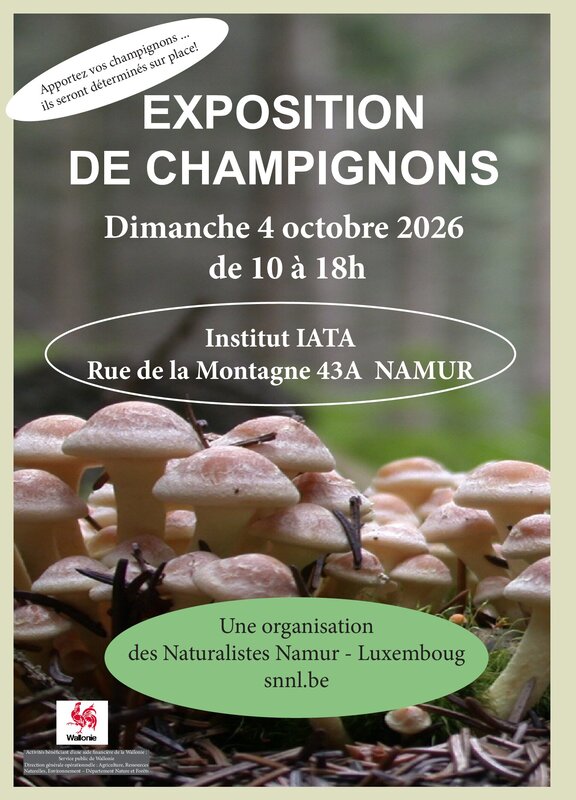 Expositions Exposition champignons