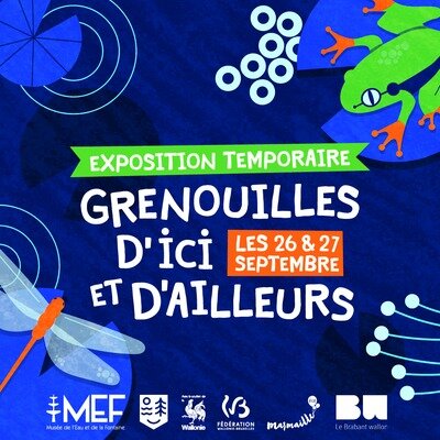 Expositions Exposition temporelle - Grenouilles d ici d ailleurs