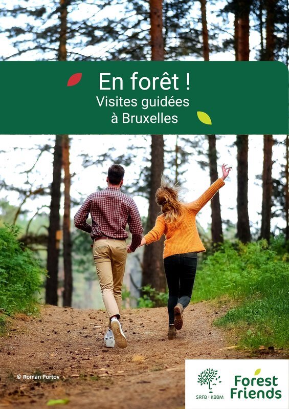 Loisirs Balade Forêt Soignes