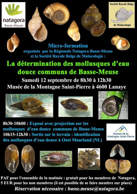 Loisirs Formation mollusques