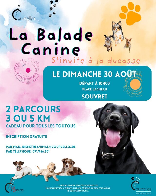 Loisirs Balade Canine