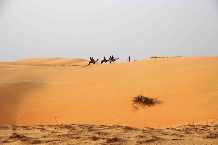 Conférences Chaleureux Sénégal
