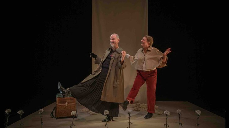 Spectacles Noël théâtre - Canard la tulipe