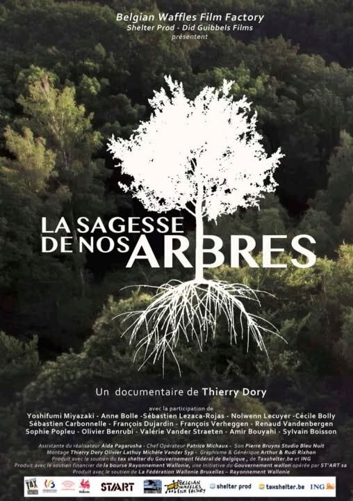Spectacles Projection plein La sagesse nos arbres