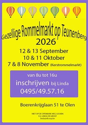 Gezellige rommelmarkt Teunenberg
