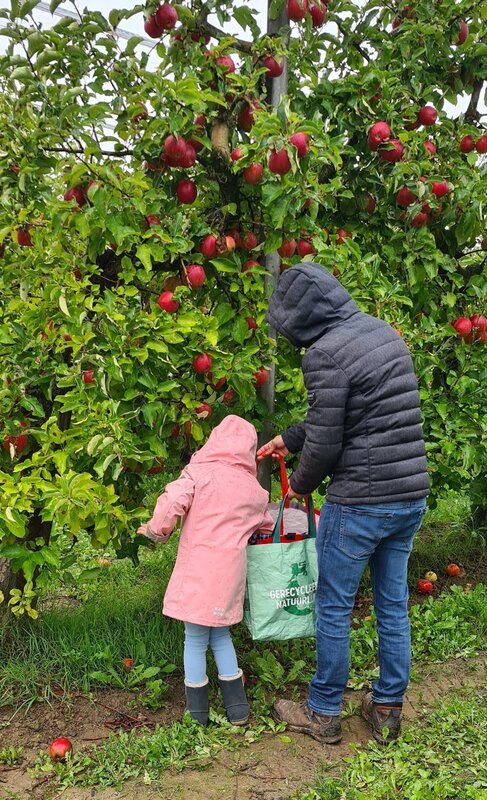 Loisirs Autocueillette pommes au verger