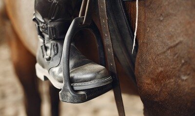 Loisirs Concours dressage