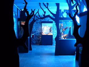 Expositions Het Musée la Grande Ardenne
