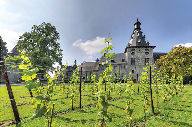 Loisirs Balade bucolique cœur Château Bioul & son vignoble