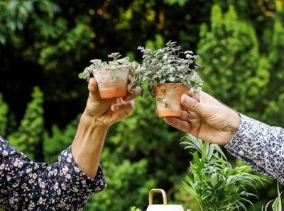 Spectacles  Il faut cultiver jardin 