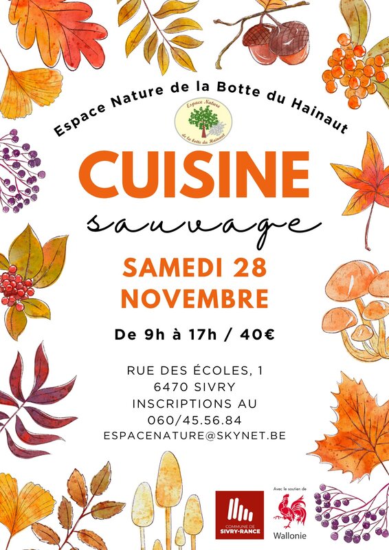 Stages,cours Cuisine sauvage