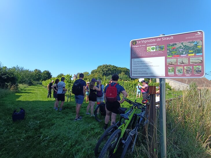Loisirs Gravel tour travers vignes Mons-Borinage