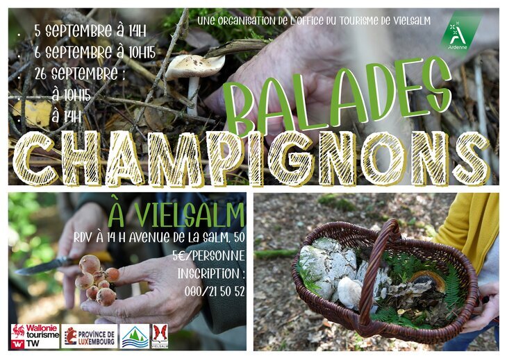 Loisirs Balade guidée la cueillette champignons