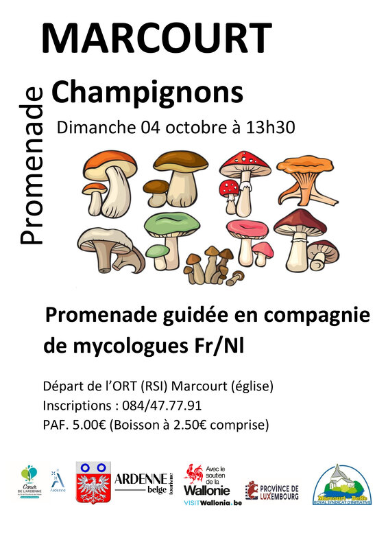 Loisirs Balade Champignons