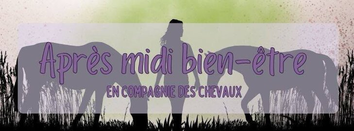 Stages,cours Après-mide Bien-être compagnie chevaux