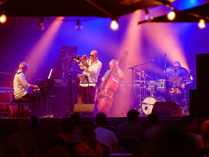 Concerts Ernst Vranckx Trio Hayden Chisholm. Special guest Stéphane Belmondo