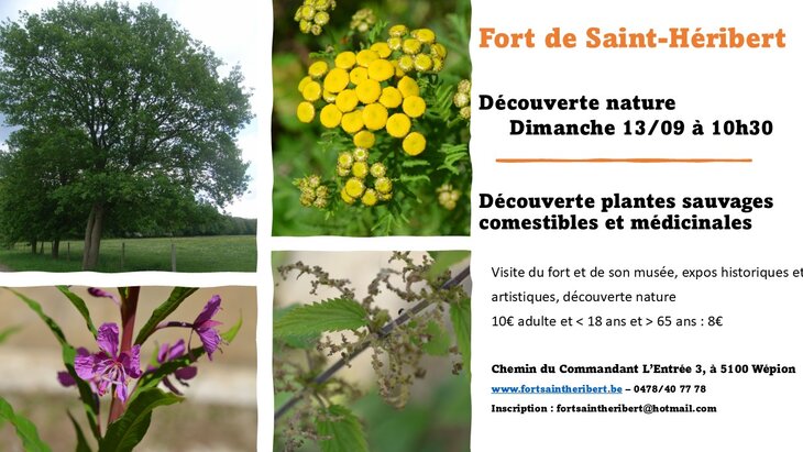 Loisirs Découverte Nature Fort Saint-Héribert
