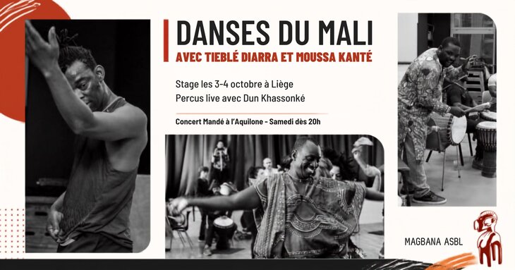 Stages,cours Stage danses Mali