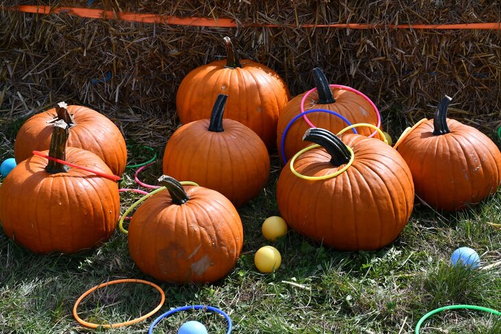 Loisirs Fête la Courge