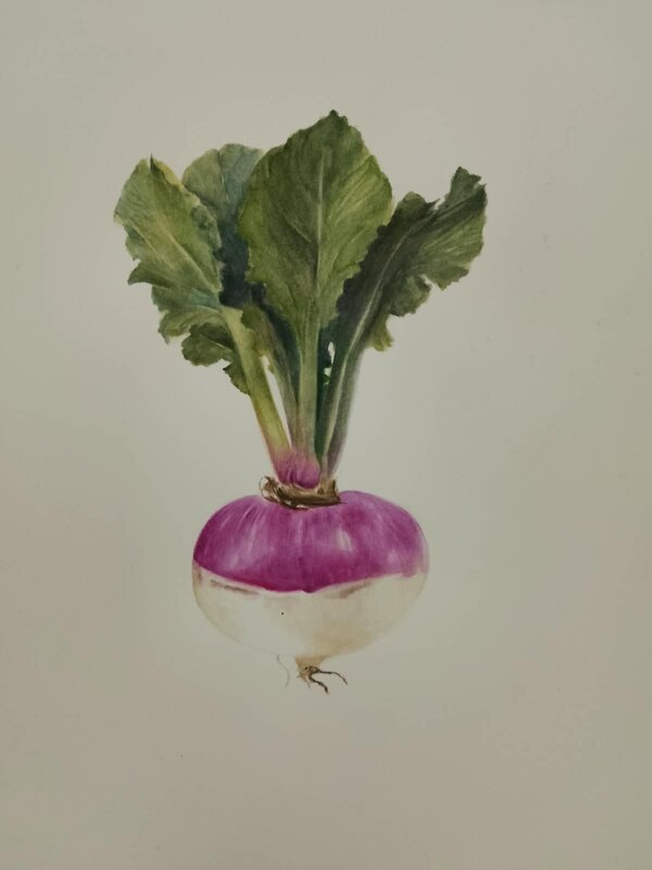 Stages,cours Stage sujet aquarelle botanique