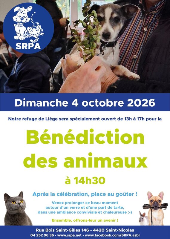 Loisirs Bénédiction animaux