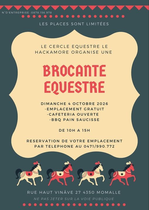 Loisirs Brocante équestre