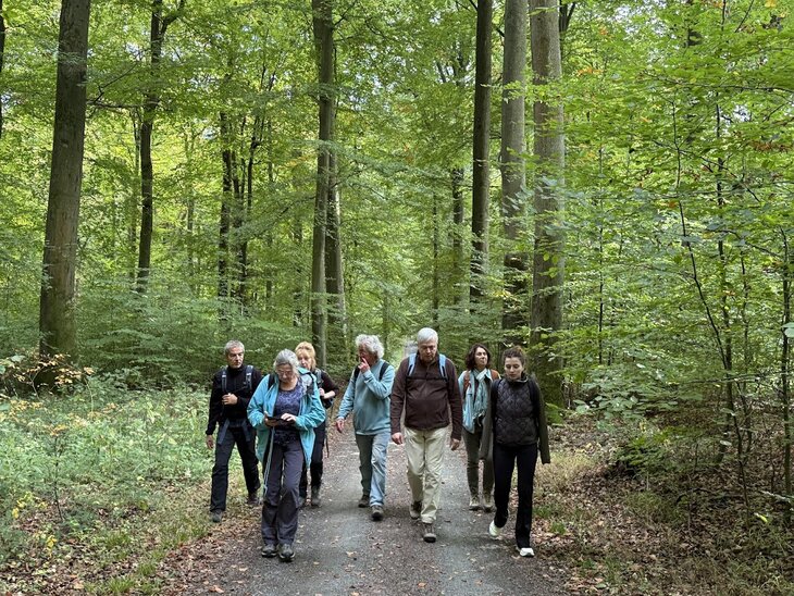 Loisirs Randonnée Forêt Soignes