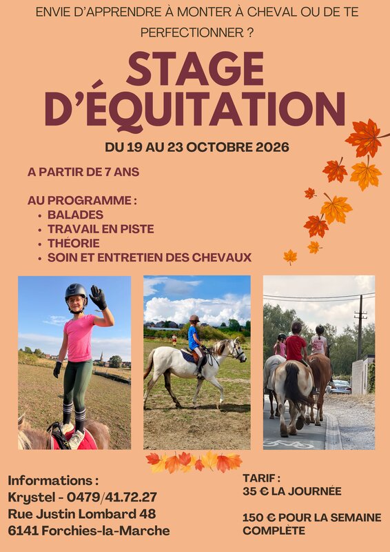 Stages,cours Stage d équitation