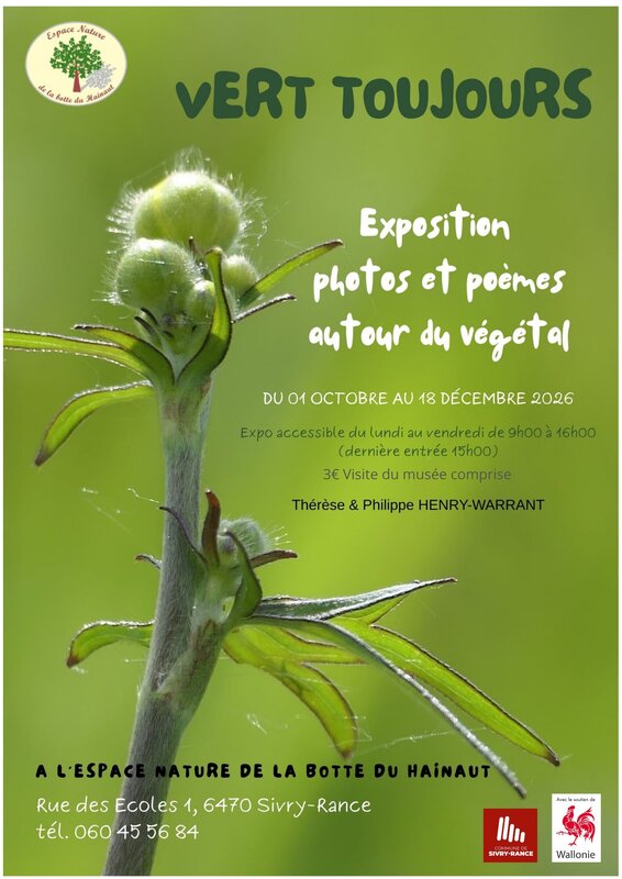 Expositions Vert toujours