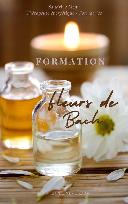 Stages,cours Formation Fleurs Bach (Certifiante)