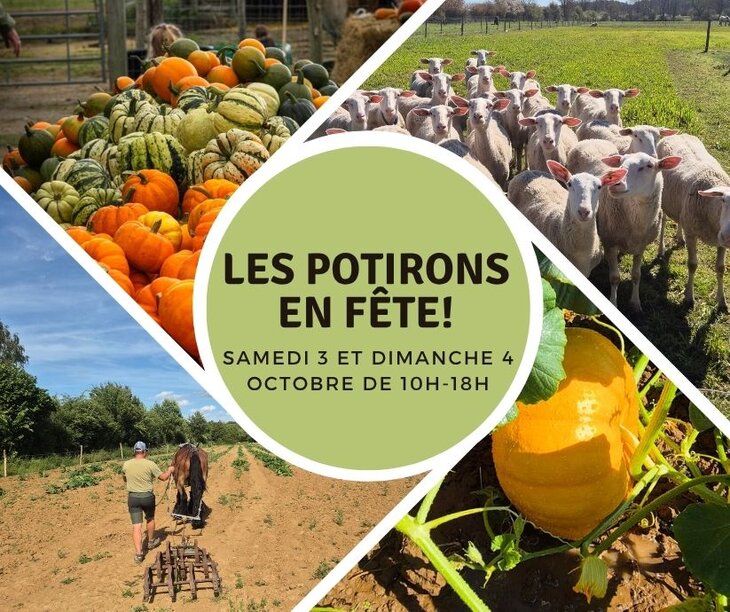 Loisirs Les potirons Fête
