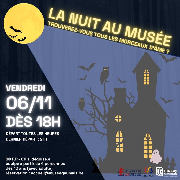 Loisirs La nuit musée