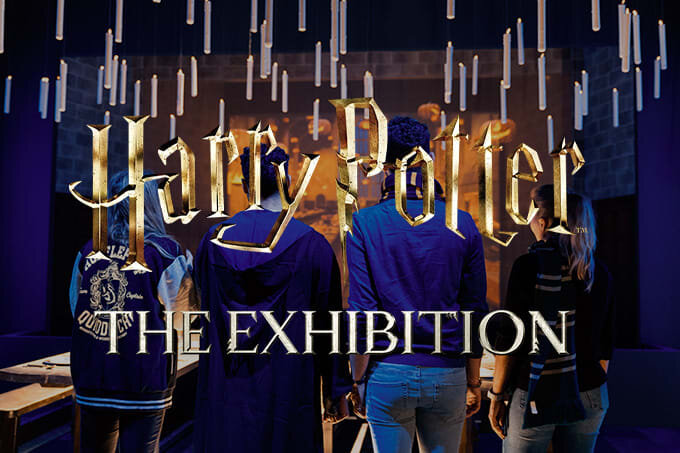 Expositions Harry Potter : L Exposition