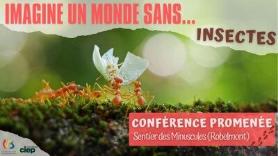 Loisirs Balade : Imagine monde sans Insectes