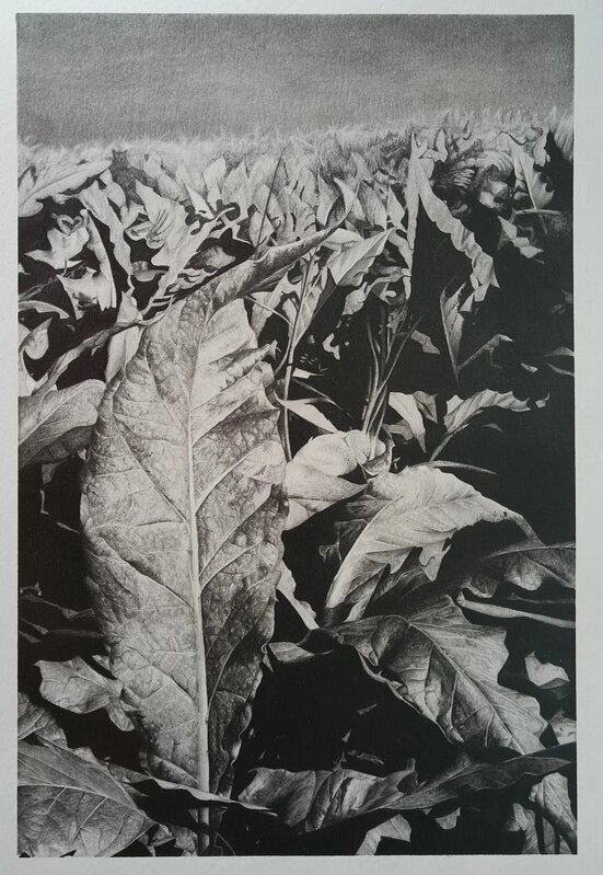 Expositions Exposition dessins peintures Manon Bouvry