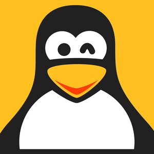 Stages,cours PC fatigué ? Choisissez Linux !