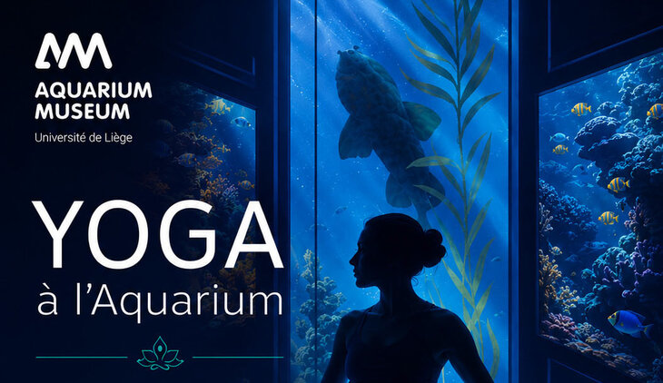 Stages,cours Expérience Power Yoga l’Aquarium