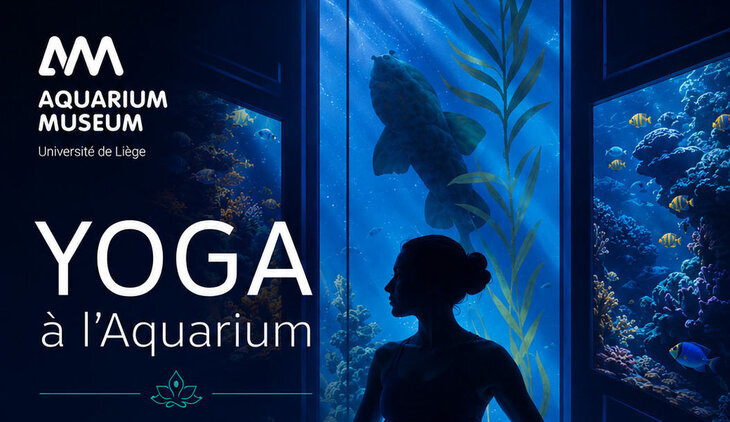Stages,cours Expérience Yoga l’Aquarium