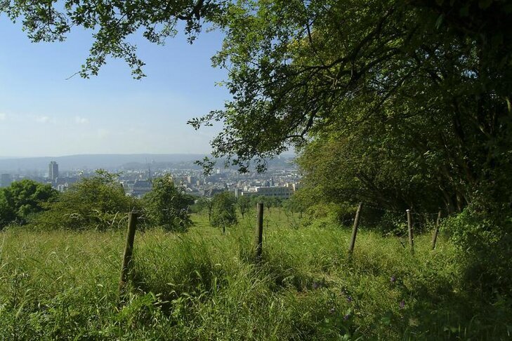 Loisirs Les Estivales Volière : visites guidées: Herborisons autour Volière