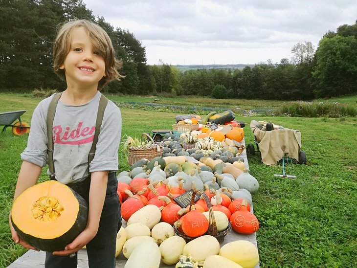 Loisirs Fête la courge l Orée Bois auto-récolte légumes