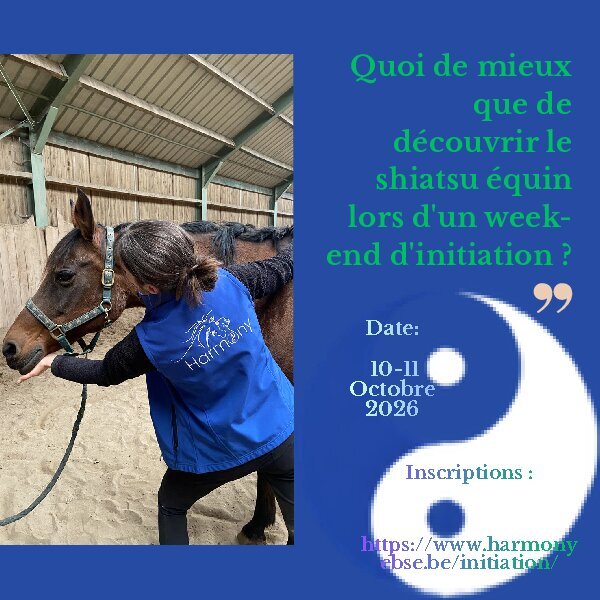 Stages,cours Week-end d initiation shiatsu équin