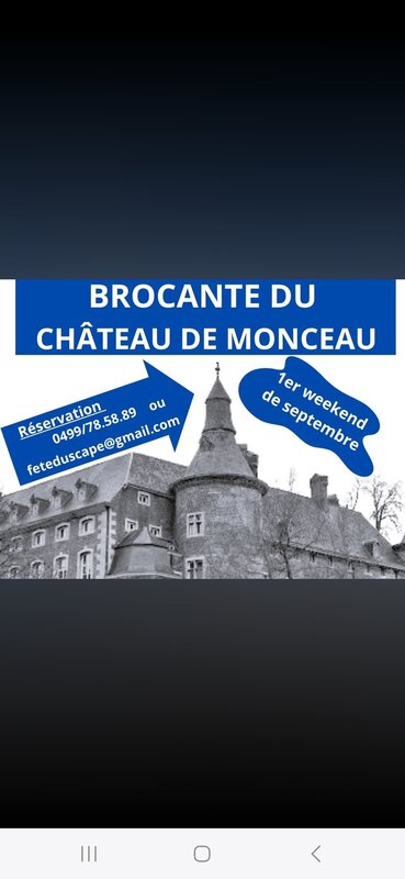  Brocante dans parc château monceau sambre
