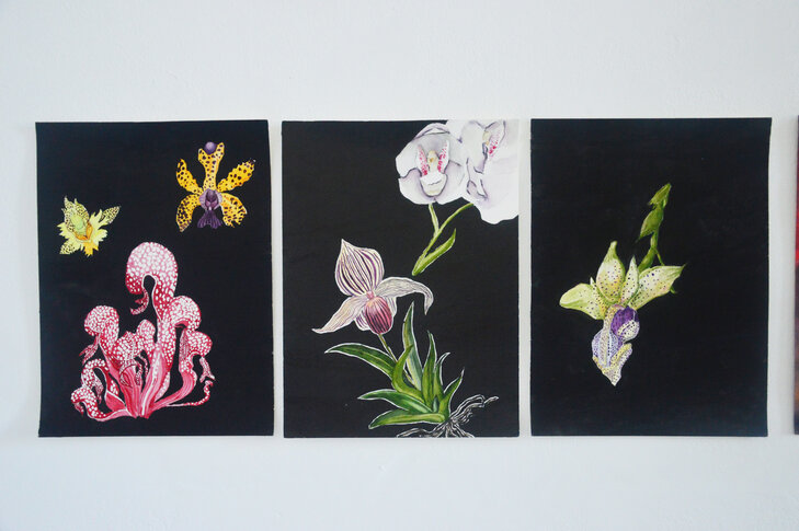 Stages,cours Atelier Aquarelle