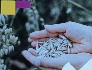 Conférences Le droit l alimentation Conférence débat Mme Christine Mahy