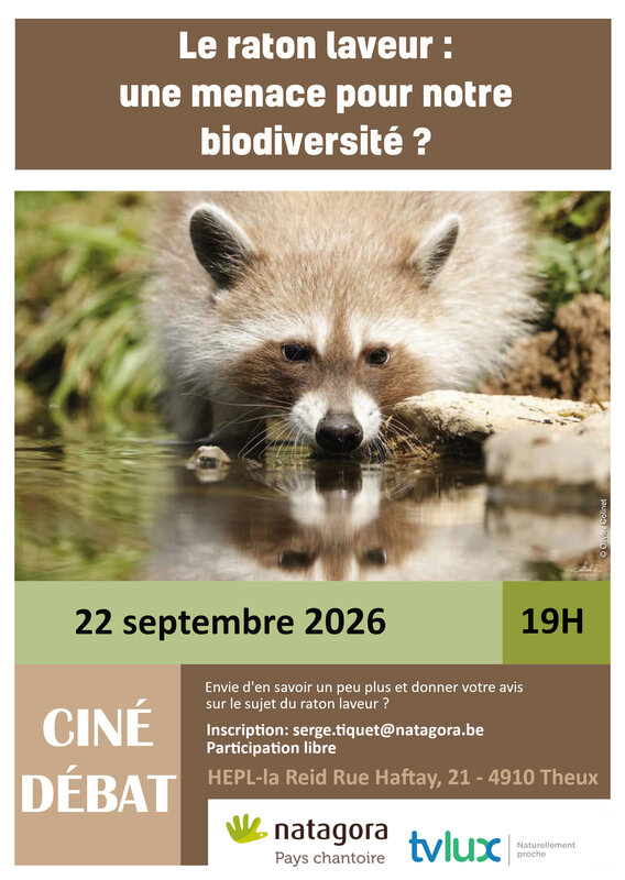 Conférences Le raton laveur : menace pour notre biodiversité ?