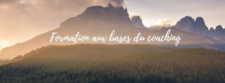 Stages,cours Formation coaching base