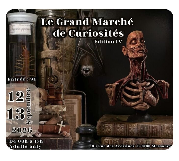  Grand marché curiosités édition 4