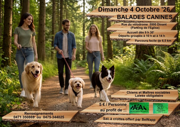 Loisirs Balade canine