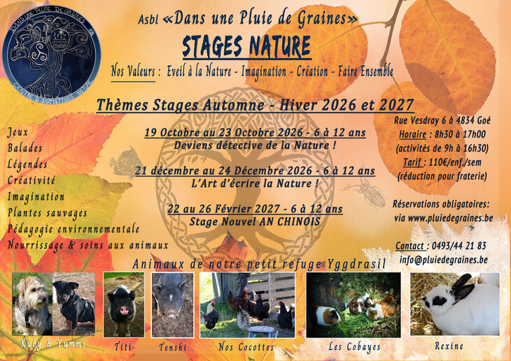 Stages,cours Stage Nature Deviens détective la Nature 